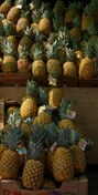 pineapples